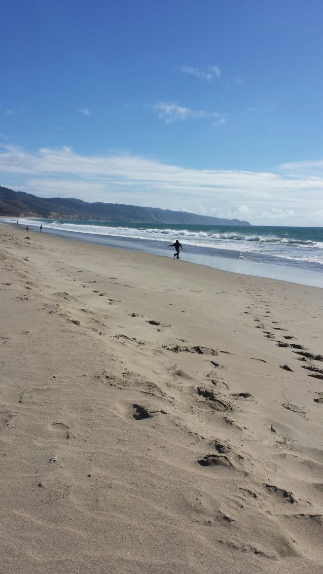 20141101_124856_1.jpg image