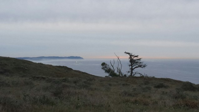 20141116_164855.jpg image